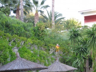 Grecia, Halkidiki: Ouranopolis (Hotel Eagles Palace)