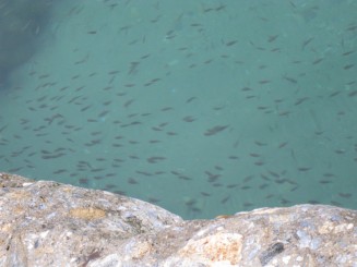 Grecia, Halkidiki: Portul Ouranopolis