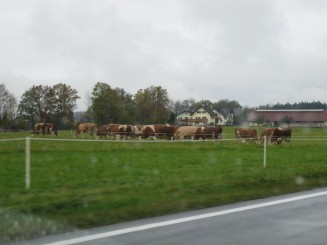 Austria: In drum spre Salzburg