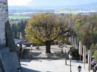 Austria, Salzburg: terasa sus la Fortareata Hohensalzburg