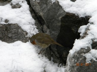 Salzburg - Fortăreaţa Hohensalzburg,