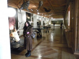 Innsbruck - Castelul Ambras,