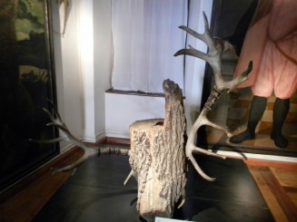 Innsbruck - Castelul Ambras,