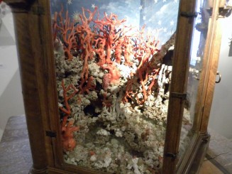 Innsbruck - Castelul Ambras,