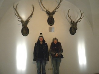 Innsbruck - Castelul Ambras,