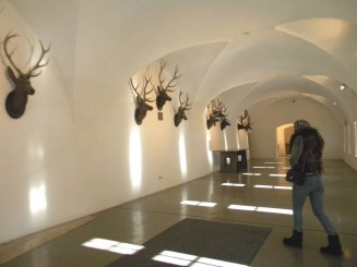 Innsbruck - Castelul Ambras,