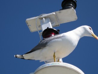 Grecia, cu vaporul pe langa Muntele Athos