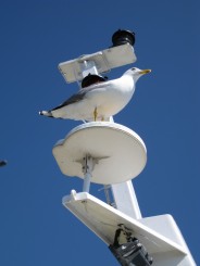 Grecia, cu vaporul pe langa Muntele Athos