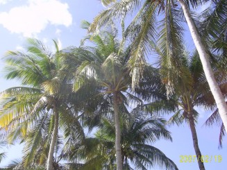 Cuba - Varadero - Arena Doradas all-inclusive