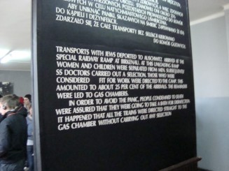 Lagărele de concentrare Auschwitz - Birkenau