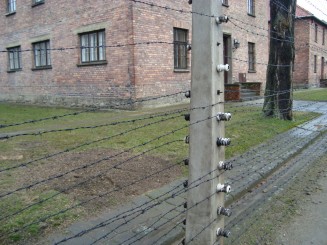 Lagărele de concentrare Auschwitz - Birkenau