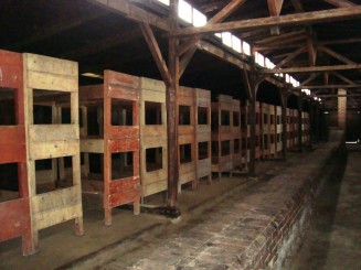 Lagărele de concentrare Auschwitz - Birkenau