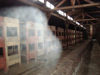 Lagărele de concentrare Auschwitz - Birkenau