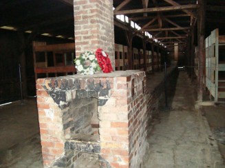 Lagărele de concentrare Auschwitz - Birkenau