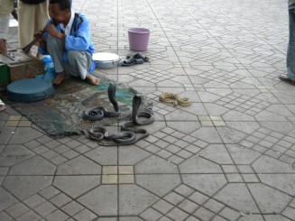 Marrakech - Piaţa Jemaa El Fna (Piaţa spânzuraţilor)