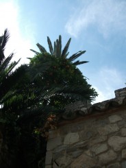 City Break Barcelona-Manastirea Pedralbes