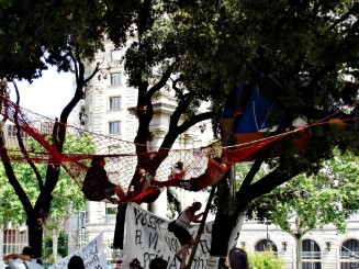 peisaje de eprimarea nemultumirilor fata de autoritati (miting in copac)