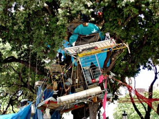 peisaje de eprimarea nemultumirilor fata de autoritati (miting in copac)