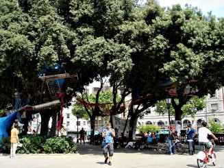 peisaje de eprimarea nemultumirilor fata de autoritati (miting in copac)