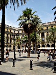 Placa Reial