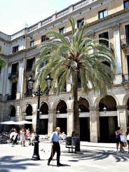 Placa Reial