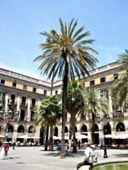 Placa Reial