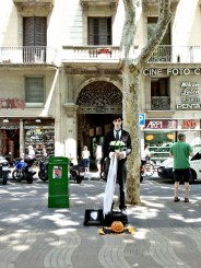 si-a pierdut mireasa