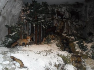 La Muzeul Natura văii Teleajenului