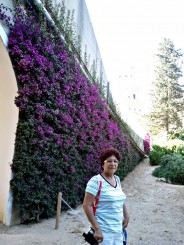 PARCUL MONTJUIC