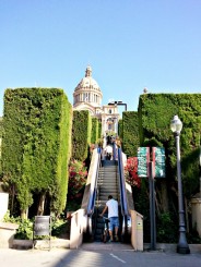 URCARE LA PALATUL NATIONAL