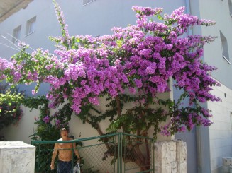 Croatia - Staţiunea Omis şi rafting în canionul râului Cetina.