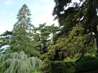 Yalta - Grădina botanică Nikita