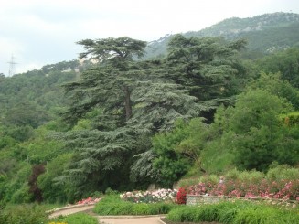 Yalta - Grădina botanică Nikita