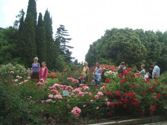 Yalta - Grădina botanică Nikita