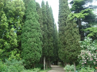 Yalta - Grădina botanică Nikita