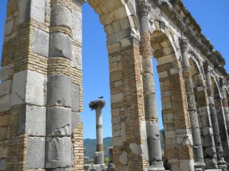 Maroc - Situl arheologic Volubilis