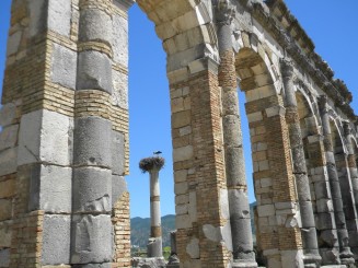 Maroc - Situl arheologic Volubilis