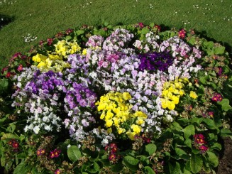 Kew gardens (Londra)