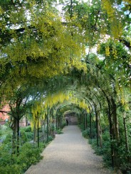 Kew gardens (Londra)