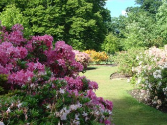 Kew gardens (Londra)