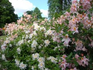 Kew gardens (Londra)