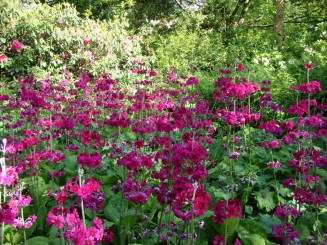 Kew gardens (Londra)