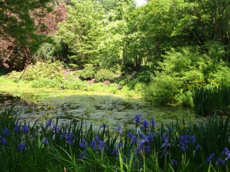 Kew gardens (Londra)