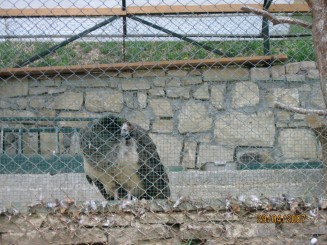 Turul manastirilor 2 Rohia