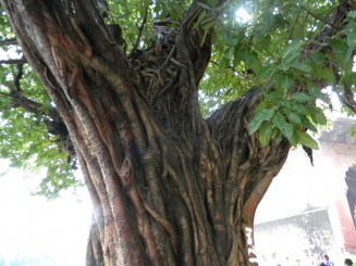 Delhi - Fortul Rosu,