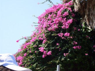 plaja si marea de la Marmaris