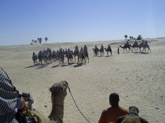 Tunisia - Plimbare cu camila prin Sahara