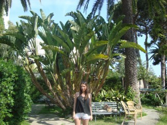 Sorrento - City Sightseeing