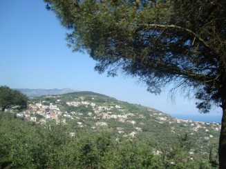 Sorrento - City Sightseeing