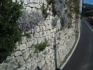 Sorrento - City Sightseeing